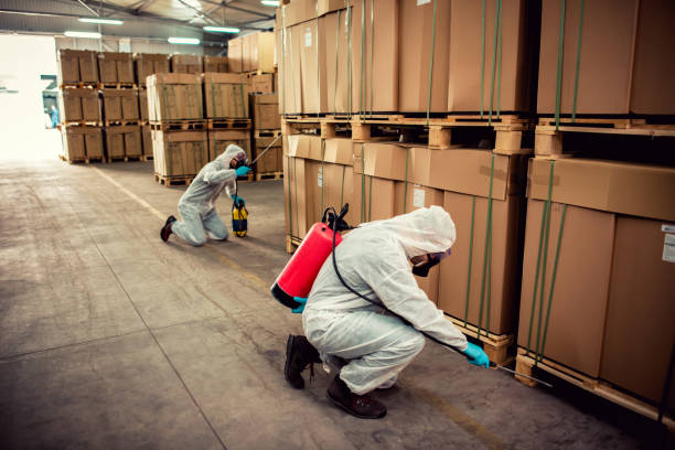 Best Best Pest Control Companies  in South Park, WY