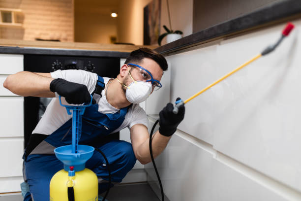 Best Residential Pest Control  in South Park, WY