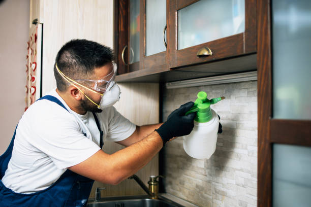 Best Wildlife Control Services  in South Park, WY