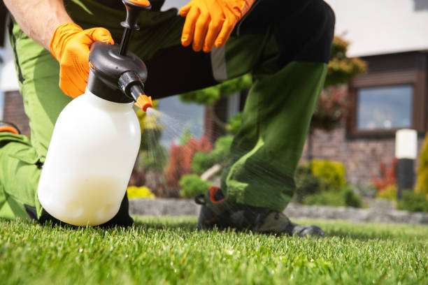 Best Affordable Pest Control Services  in South Park, WY