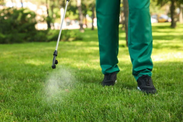 Best Mosquito Control Services  in South Park, WY