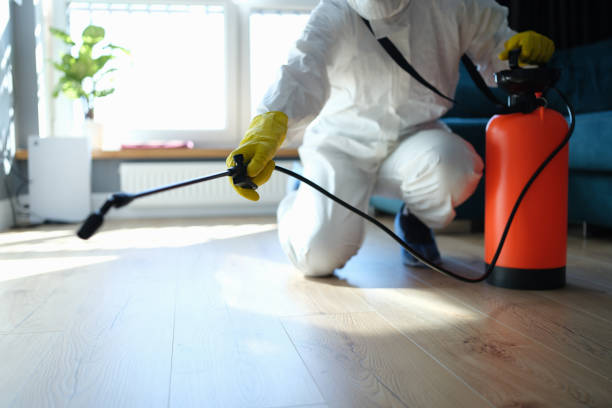 Best Commercial Pest Control Services  in South Park, WY