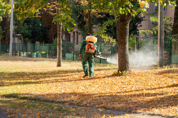 Best Best Pest Control Companies  in South Park, WY