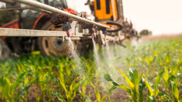 Best Pest Removal Services  in South Park, WY